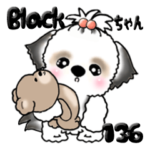 シーズー犬 136『black & white』