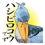 快調ハシビロコウ