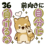 柴犬・ちゃちゃ丸36『前向きに』Ver.梅雨～