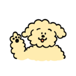 トイプードルのティー