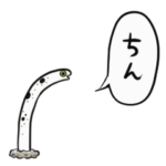 飛び出すチンアナゴ