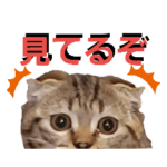 我が家のミッキー。挨拶、会話、色々