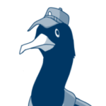 Little Navy Penguin 3