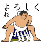 柏「かしわ」相撲日常会話