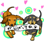 動く可愛い子犬のダックスたち