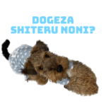 パピーのスペンサーくん