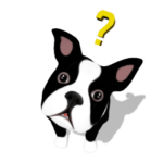 かわいい子犬 ボストン テリア