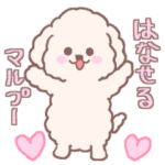 話せる子犬のマルプー