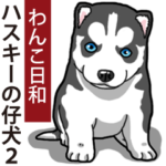 わんこ日和 シベリアンハスキーの仔犬2