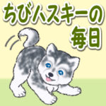 ちびハスキーの毎日（男女兼用）