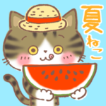 夏のキジトラ♪夏のあいさつ&暑中見舞い