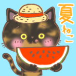夏のサビ猫♪夏のあいさつ&暑中見舞い