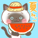 夏のシャム猫♪夏のあいさつ&暑中見舞い