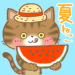 夏のむぎわら猫♪夏のあいさつ&暑中見舞い