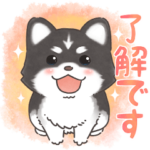 わんこの日常～シベリアンハスキー編～