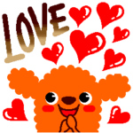 トイ・プードル /おしゃれな犬の毎日