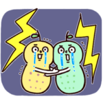 ◯ぼくとクマと仲間達◯いろいろお天気