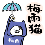 梅雨猫