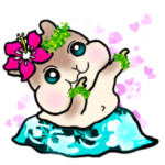 フラガール ハムスター