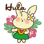 ハワイうさぎ
