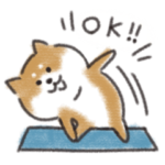 もっちり柴犬の日常3