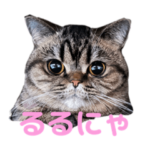 るるのにゃむにゃむスタンプ