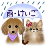 雨の日も気分UP♡便利な敬語スタンプ