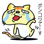 やさぐれブサ猫