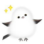 シマエナガちゃん♡（文字なし多め）