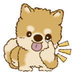 柴犬・ちゃちゃ丸37『絵だけ』