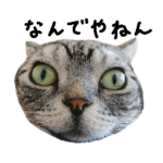 大阪弁のぱずたんぷ