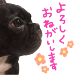 もっとヴァスラフ！時々大阪弁