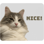 英語の猫スタンプ