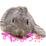 かわちいういたん