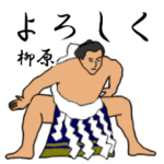 柳原「やなぎはら」相撲日常会話