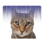 アメチカンのもな　