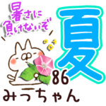 専用86<夏＆天気>
