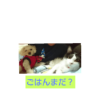 まるまるまーる