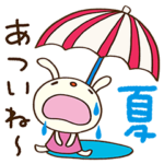 夏大好き☆てるてるうさぎ