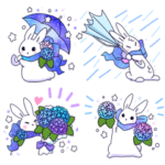 紫陽花のハナウサギのエト