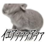 うさぎのちゃまる