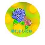 アジサイ（紫陽花）のメッセージ 手紙風