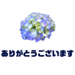日常に使えるアジサイの敬語のスタンプ