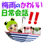 ゆかいなにゃんこ4★梅雨バージョンの猫