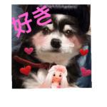 チャッピーお試し