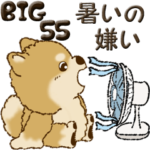 柴犬・ちゃちゃ丸 55『暑いの嫌い』