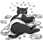 うちの子黒猫！