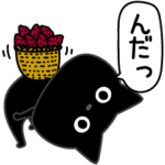 ぼく黒猫田舎なまり言葉