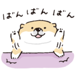 しばんばん コラボ 6