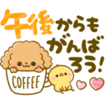 大人可愛い♡ふわもこトイプードル